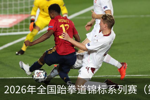 2026年全国跆拳道锦标系列赛（第二站）在广州举行